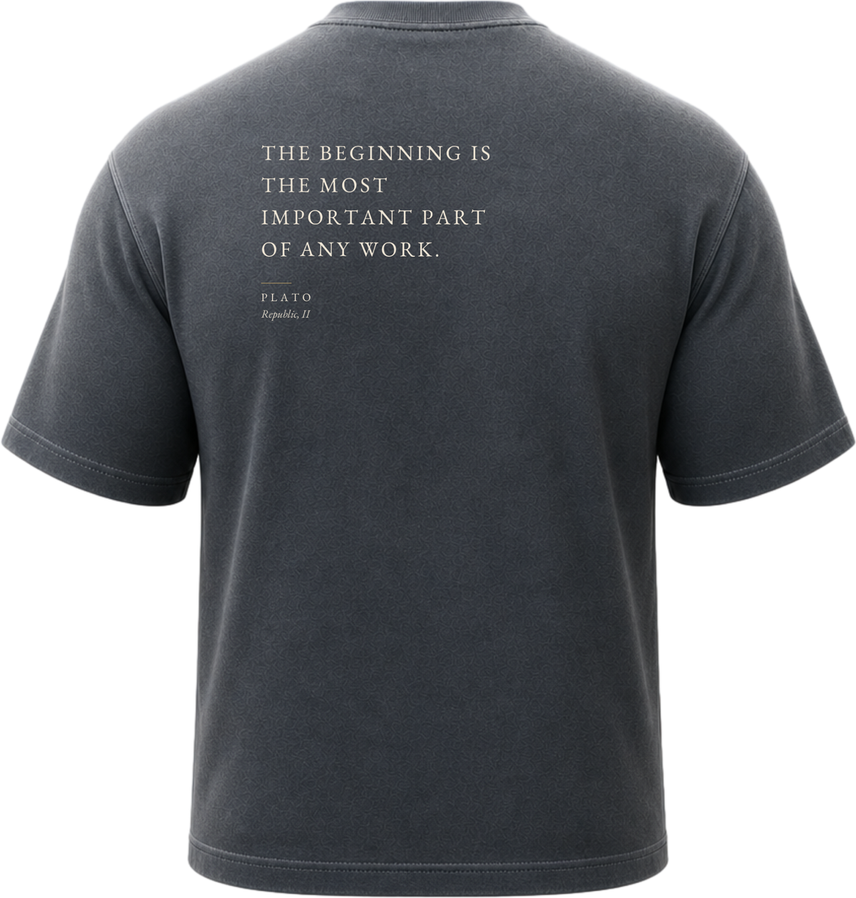 Pigment Black
Back view of a faded, lived-in black heavyweight cotton t-shirt cut in an intentionally oversized, boxy shape. The garment features architecturally balanced typography printed in Warm Parchment ink. The printed text reads: "THE BEGINNING IS THE MOST IMPORTANT PART OF ANY WORK." with the attribution "PLATO" and "Republic, II" directly underneath in a classic serif font.