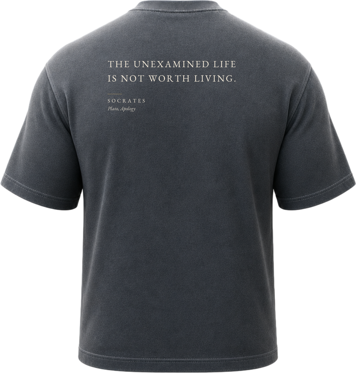Pigment Black
Back view of a faded, lived-in black heavyweight cotton t-shirt cut in an intentionally oversized, boxy shape. The garment features architecturally balanced typography printed in Warm Parchment ink. The printed text reads: "THE UNEXAMINED LIFE IS NOT WORTH LIVING." with the attribution "SOCRATES" and "Plato, Apology" directly underneath in a classic serif font.